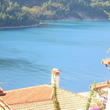 Villa Luma Apartments Labin  Exterior photo