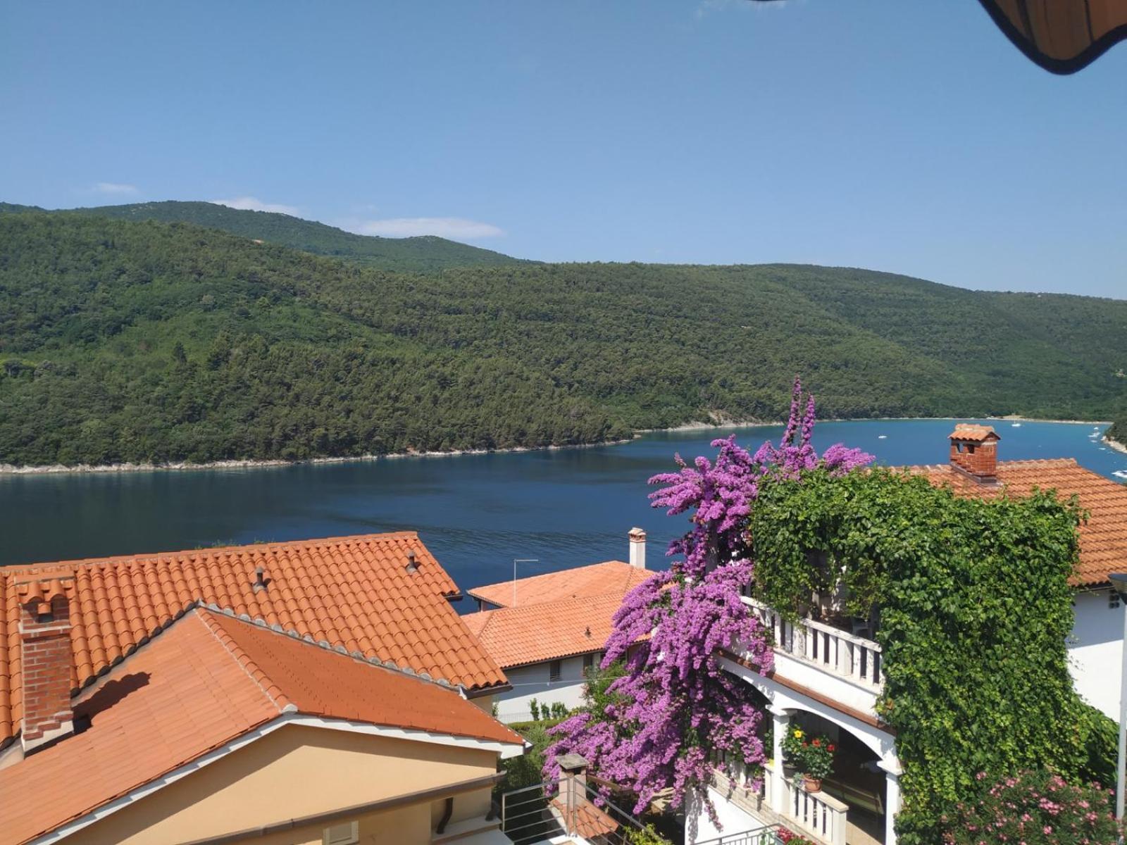 Villa Luma Apartments Labin  Exterior photo