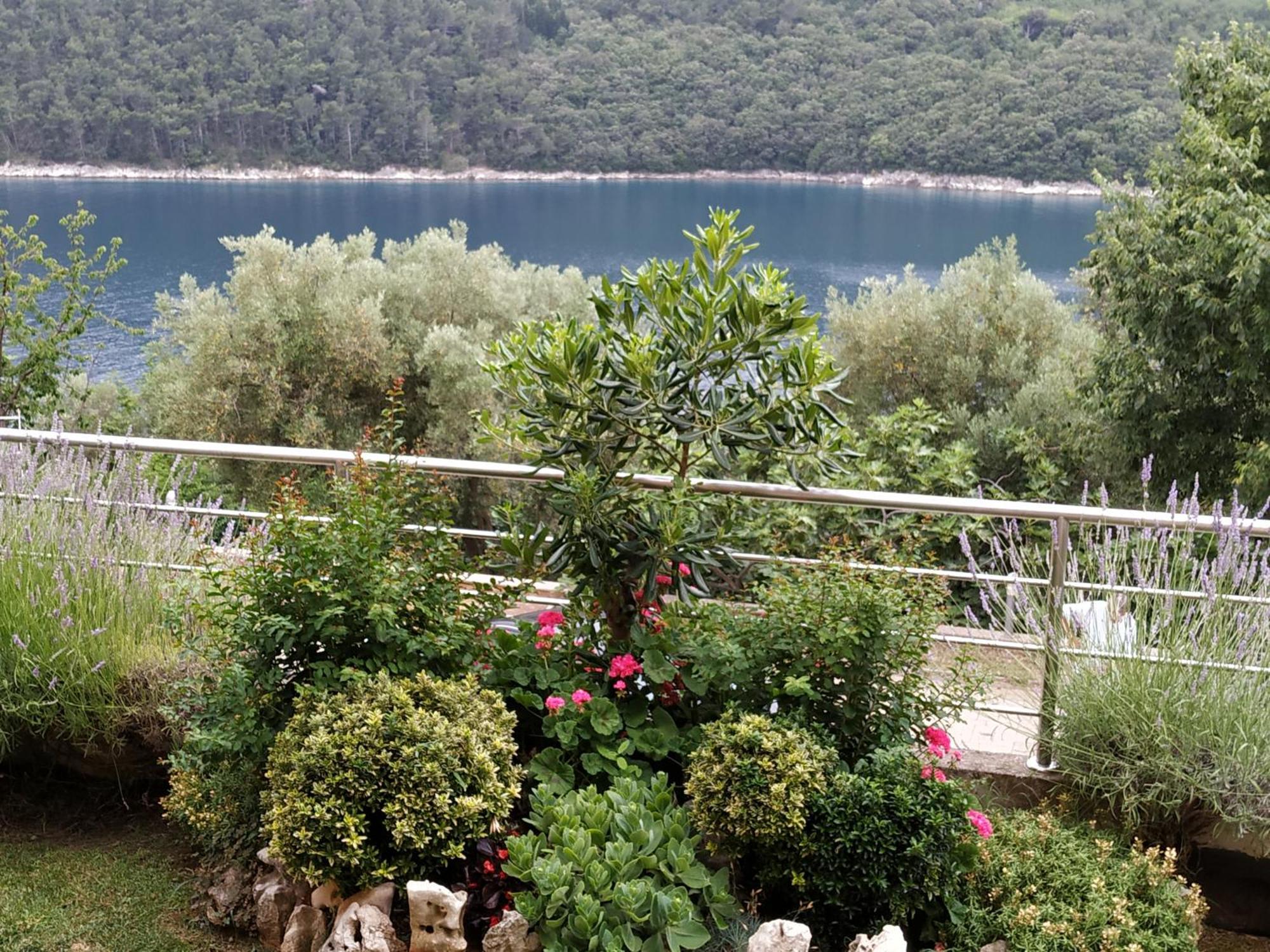 Villa Luma Apartments Labin  Exterior photo