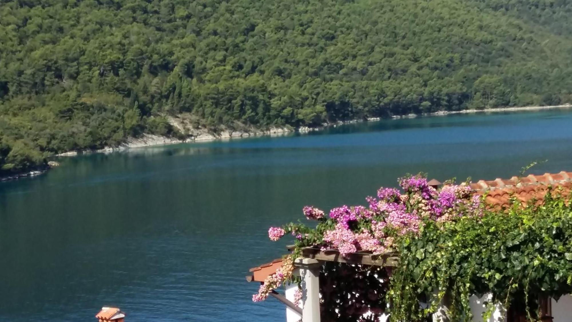 Villa Luma Apartments Labin  Exterior photo