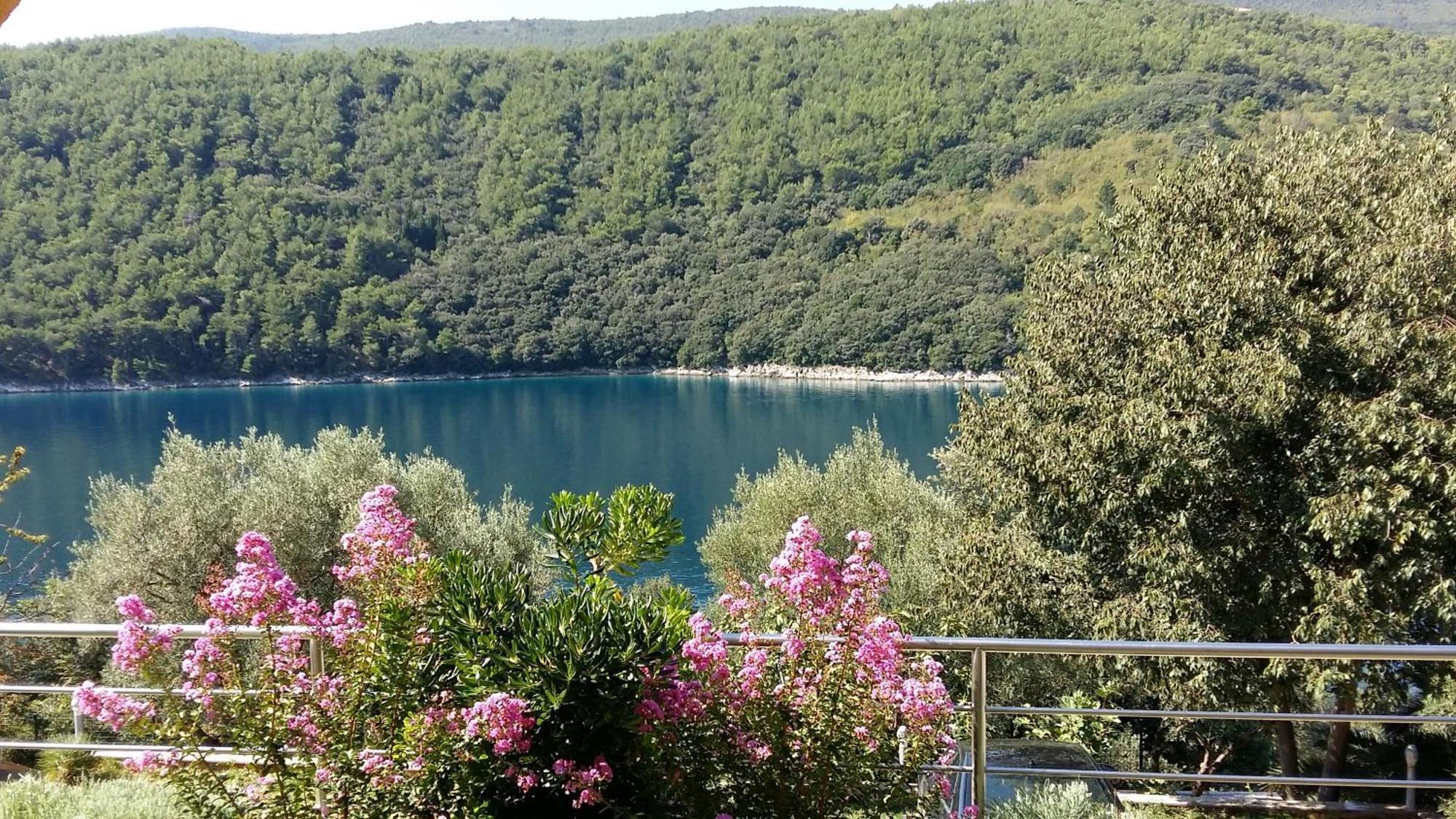 Villa Luma Apartments Labin  Exterior photo